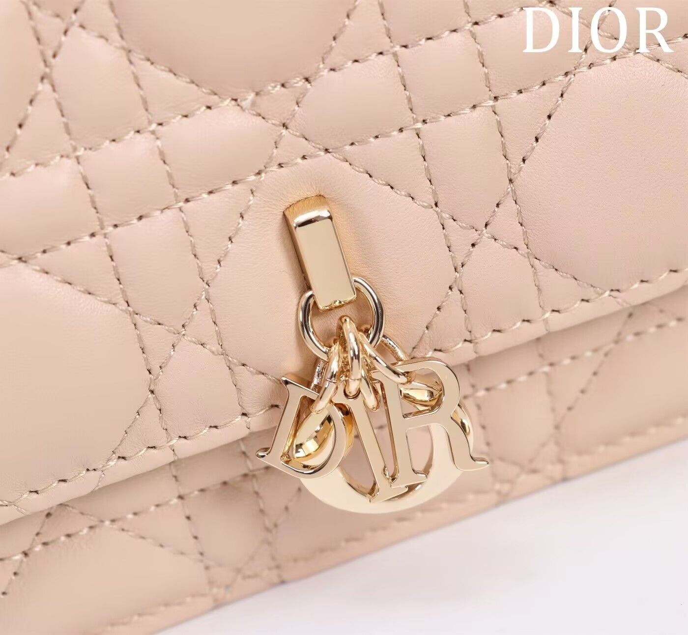 miss D*or mini handbag 21x11.5x4.5cm