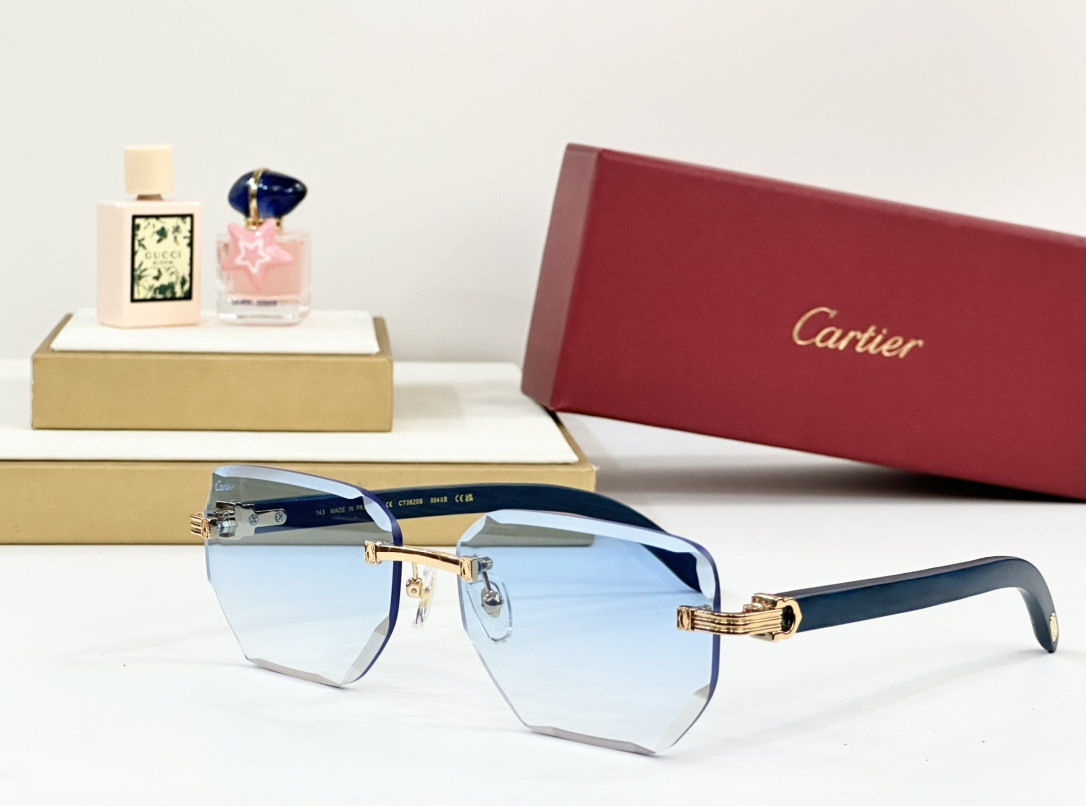 Ca*t*er glasses paris ct0620s